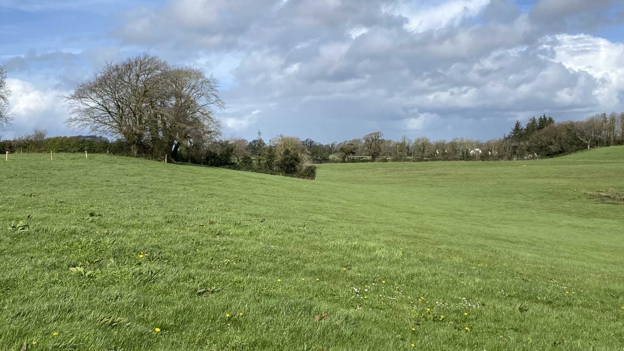 39ac Pallaskenry 'trophy holding' for sale