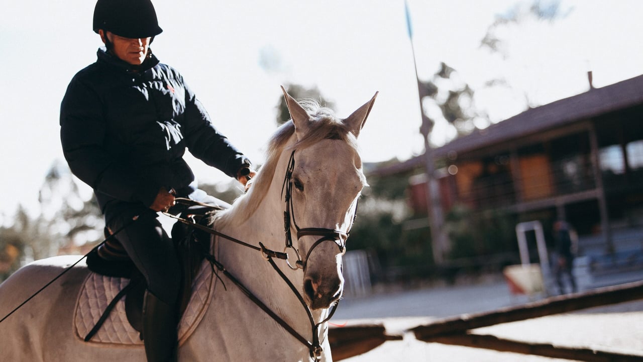 Road safety: Series of videos  to protect horse riders on roads