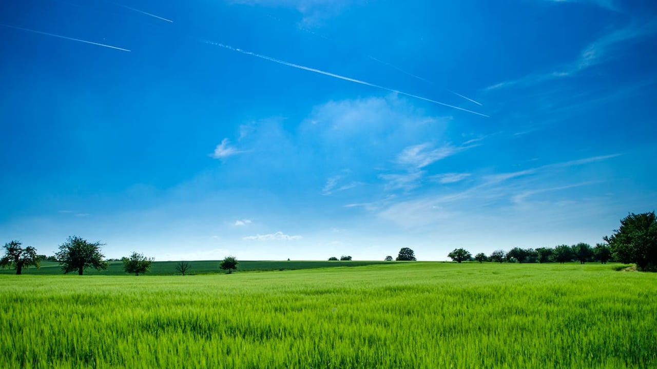 Minister urged to announce farmland exemption from RZLT before Budget