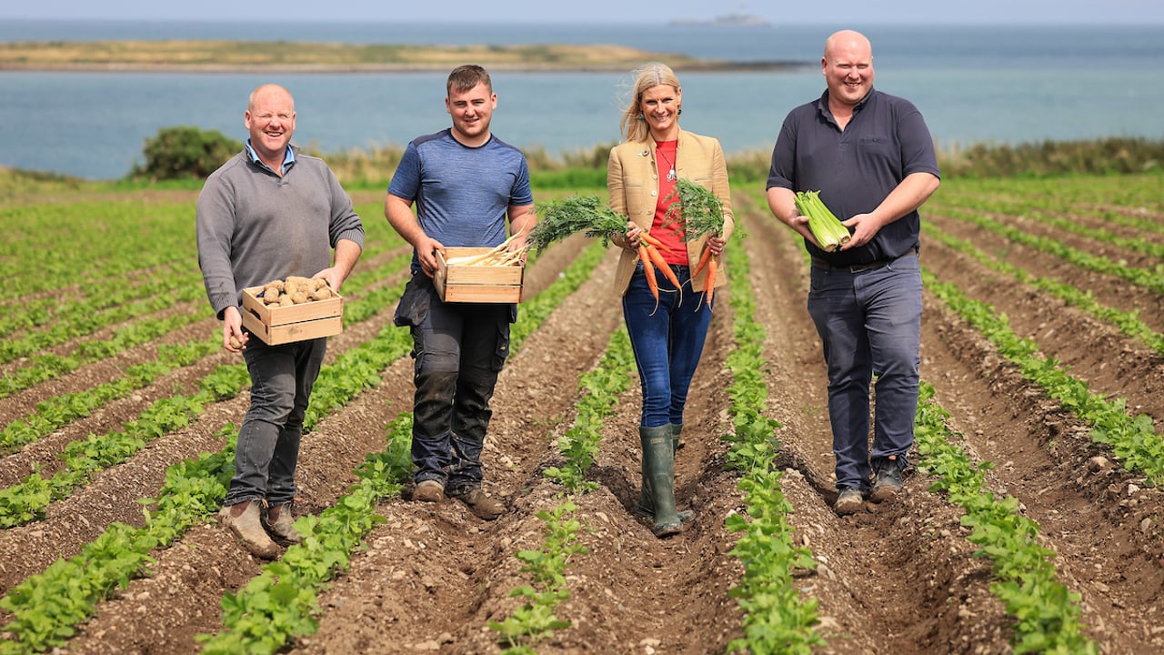 Minister of State at the Department of Agriculture, Food and the Marine, Pippa Hackett with Matt, Eoin and John Thorne who grow vegetables in Lusk, Co. Dublin. 