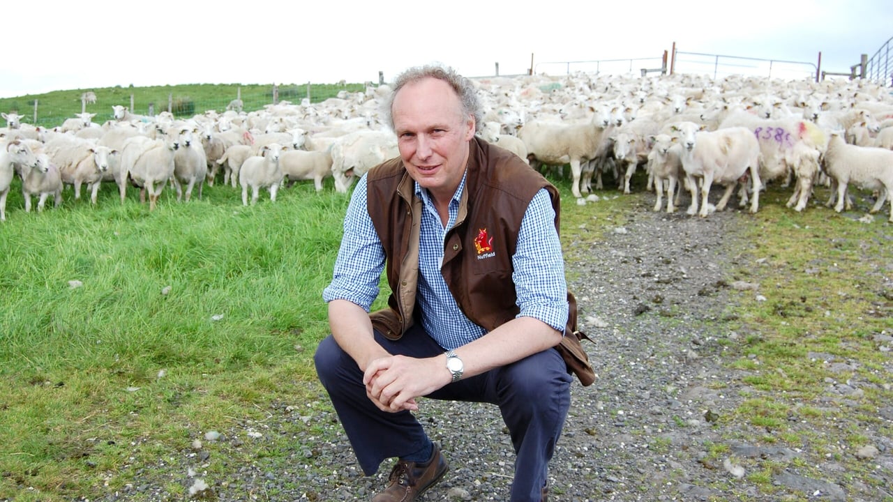 EasyCare sheep breeder, Campbell Tweed