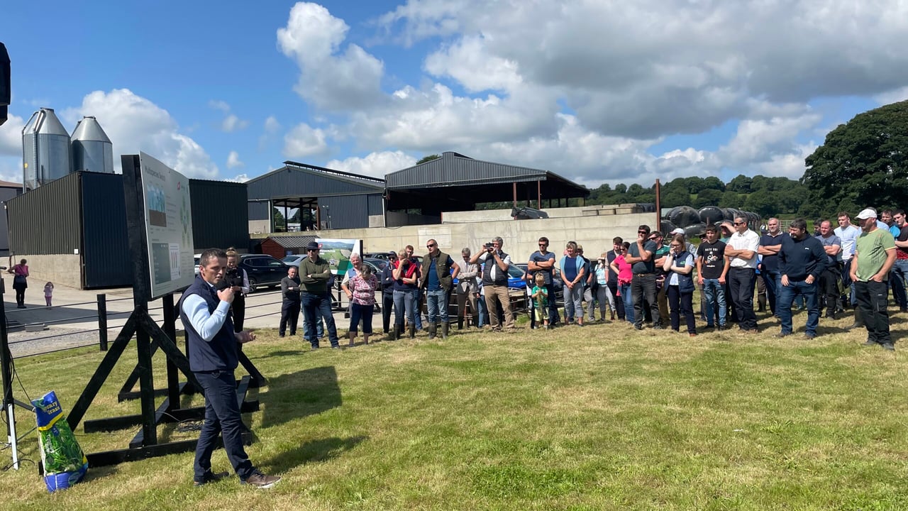 Better beef thrive and earlier finish on multi-species swards
