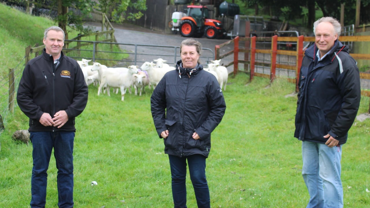 Peter and Caroline Foss, from New Zealand with Campbell Tweed (right) at Ballycoose Farm in Co. Antrim