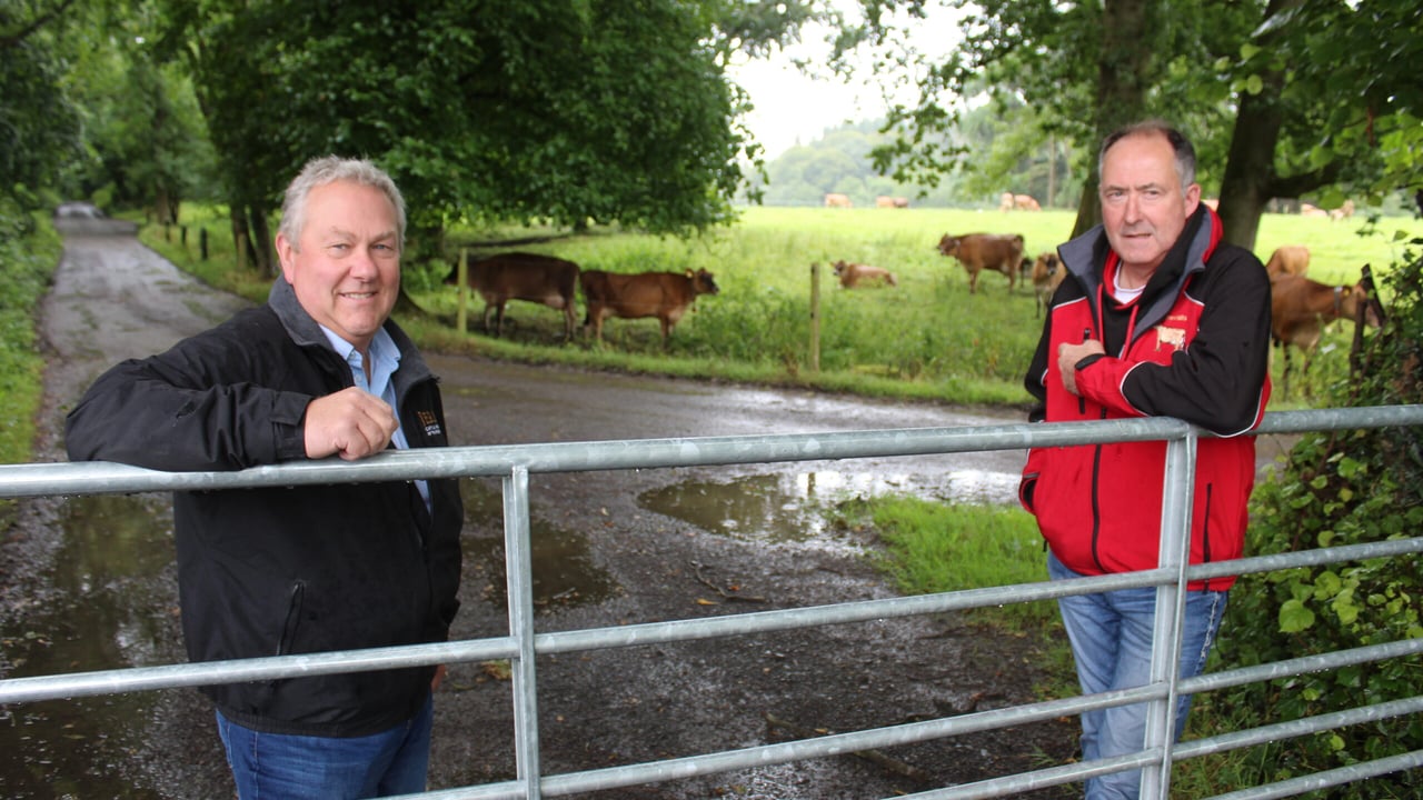Discussing plans for the celebration of Jersey cattle breeding are l-r: Mark Logan, Clandeboye Estate, and Ashley Fleming, Potterswalls' Jerseys