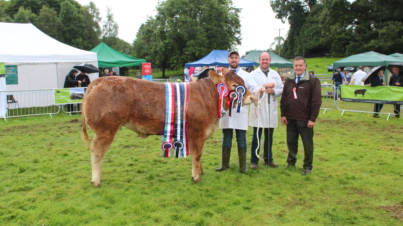 Record livestock entries at Clogher Valley Show