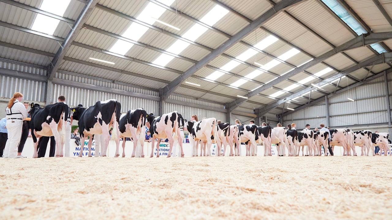 Final line up at the IHFA National YMA Finals 
Image: Maria Kelly