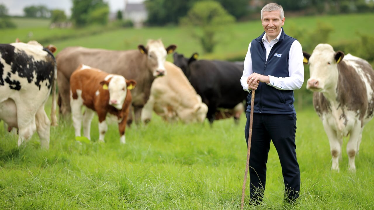 Ian Stevenson, new chief executive of Dairy Council NI. Image: LMC