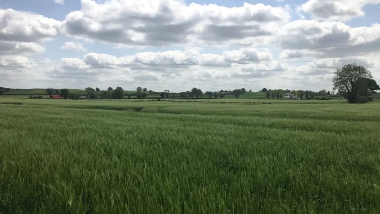 Prime Kildare tillage land makes over €23,000/ac at auction