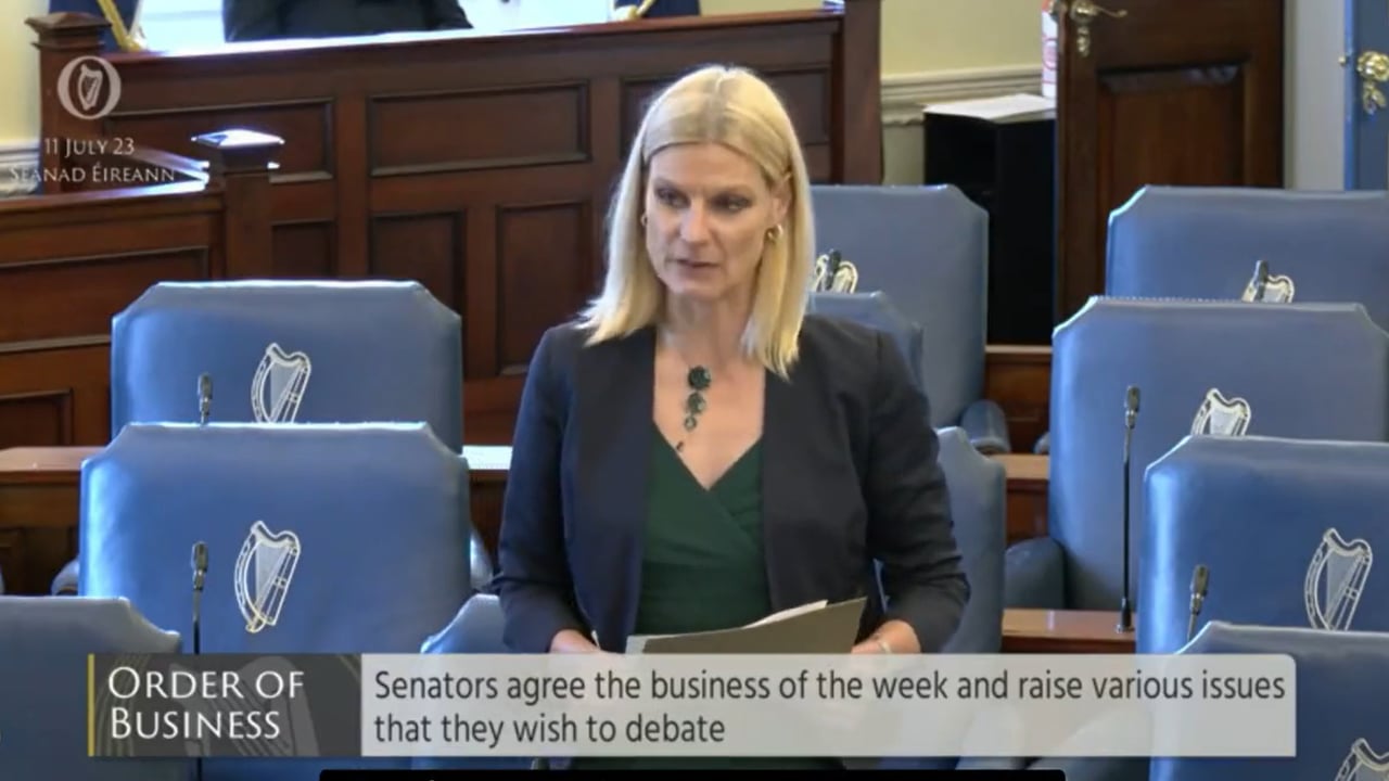 Minister for State Pippa Hackett speaking in the Seanad