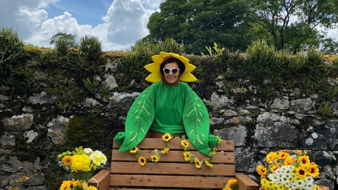 Diversification: Sunflower picking on Galway farm