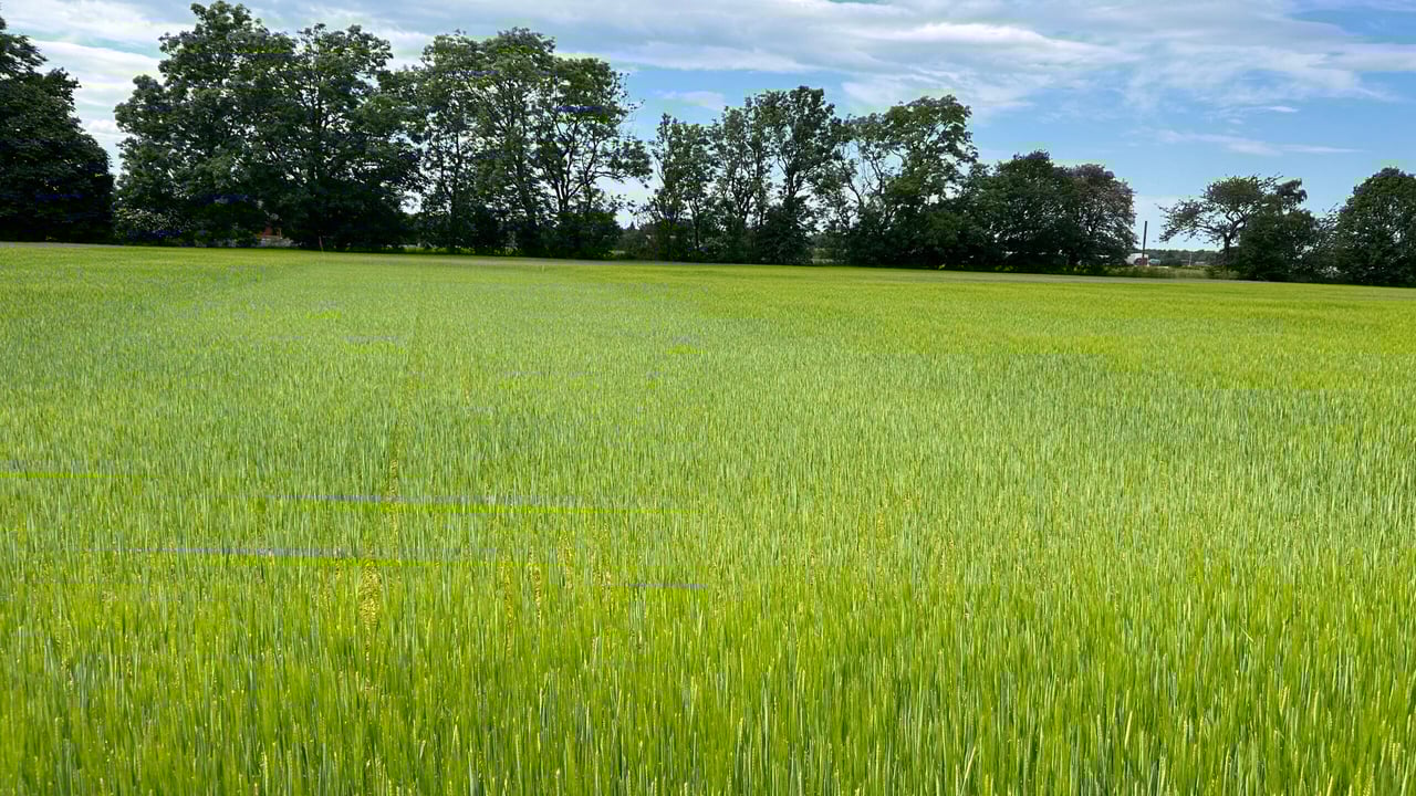 Can Sweden lead the way for Irish farmers to embrace 'recycled' fertilisers?