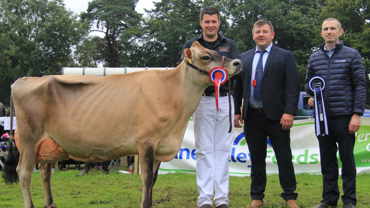 Large turnout for Antrim Show 2023