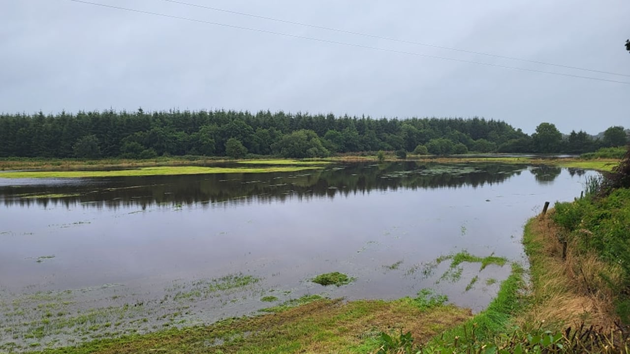 The field where the Ballinamuck Olde Fair Day was to be held Image: Ballinamuck Olde Fair Day Facebook