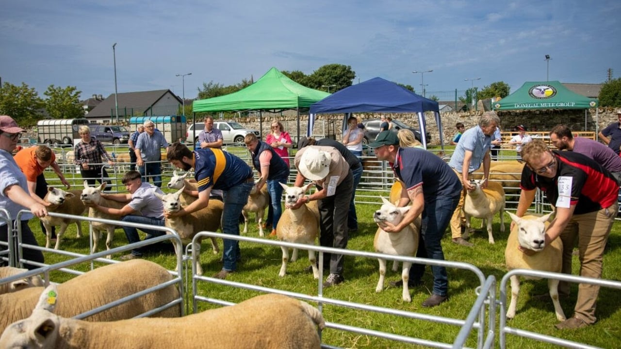 Oldcastle Agricultural Show. Photo: Gemma Carew
