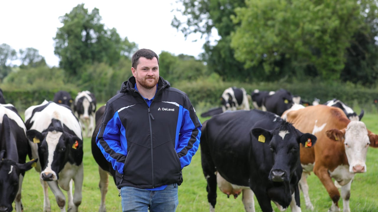 Grazing with DeLaval robots: DeLaval dealers to host open days in Limerick and Laois