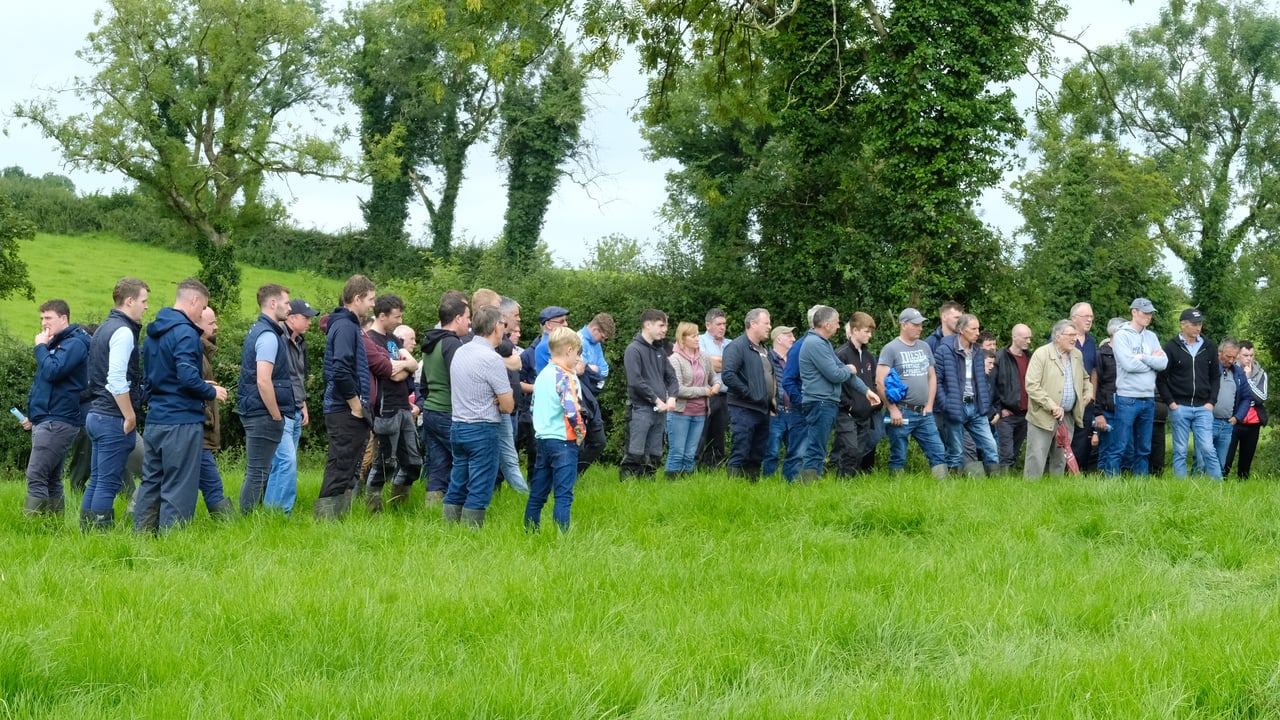 Participants at a farm walk in Co. Cavan organised by Lakeland Dairies