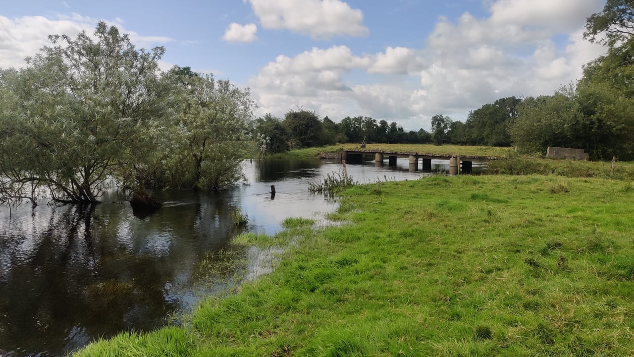 Video: Farmers seek compensation after Shannon flooding