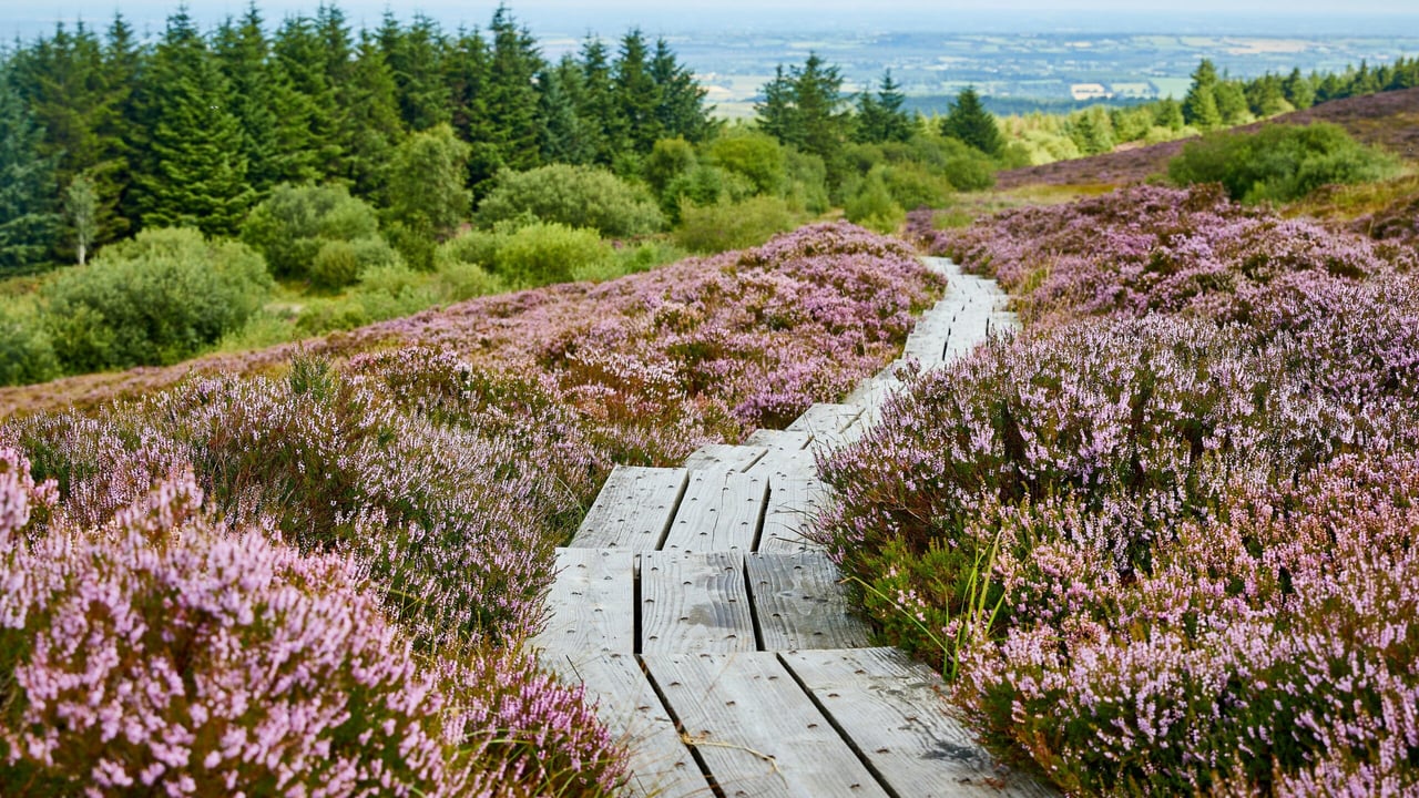 New €17m tourism project for former peat-dependent areas
