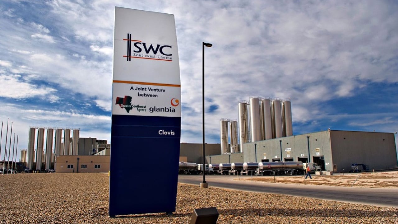 Glanbia has made its debut on Rabobank’s annual Global Dairy Top 20  Source: Glanbia