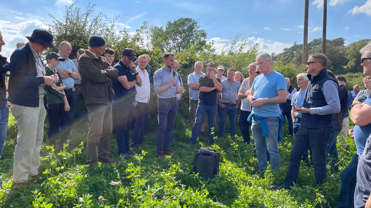 Large crowds attended the IFA organic farm walk on the farm of Mark Gillanders