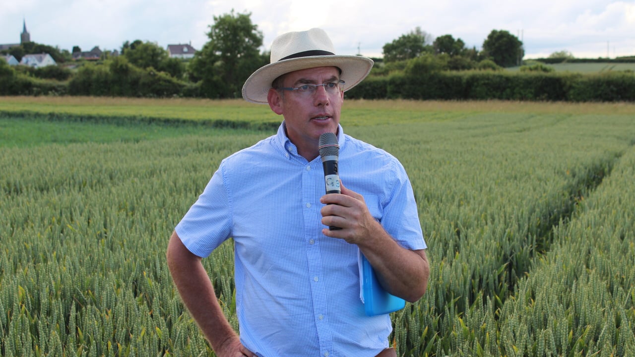 John Dunne, Goldcrop