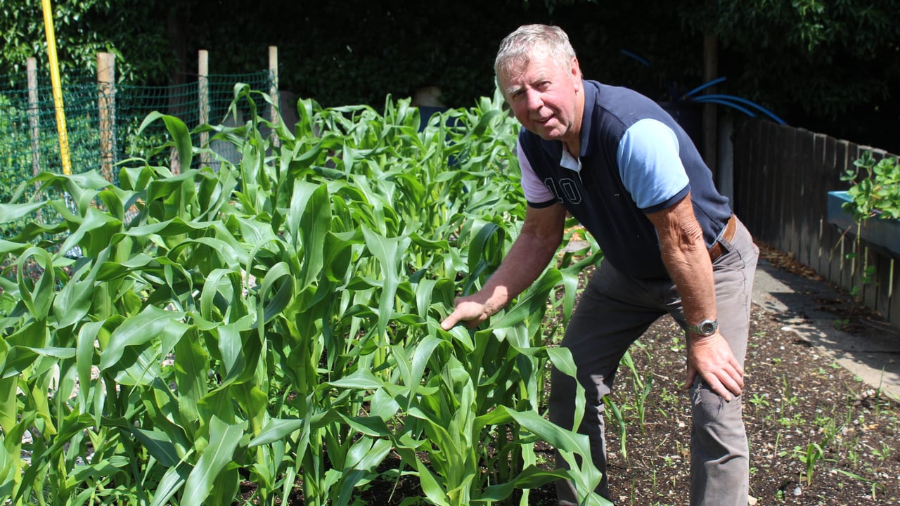 Sammy Wilson, the man behind Donaghmore Horticultural Community