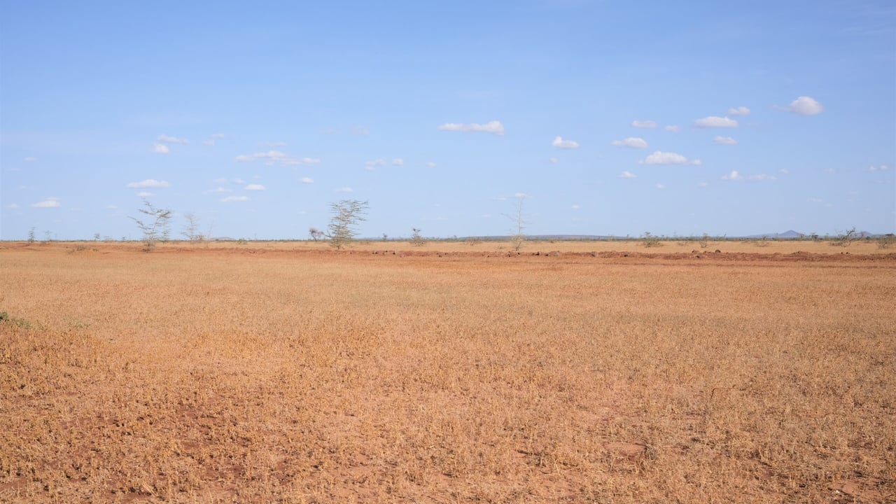 Drought affected landscape on the road leading out of Ngurnit in Laisamis, Marsabit county, northern Kenya. Source: Katie Cox/Christian Aid