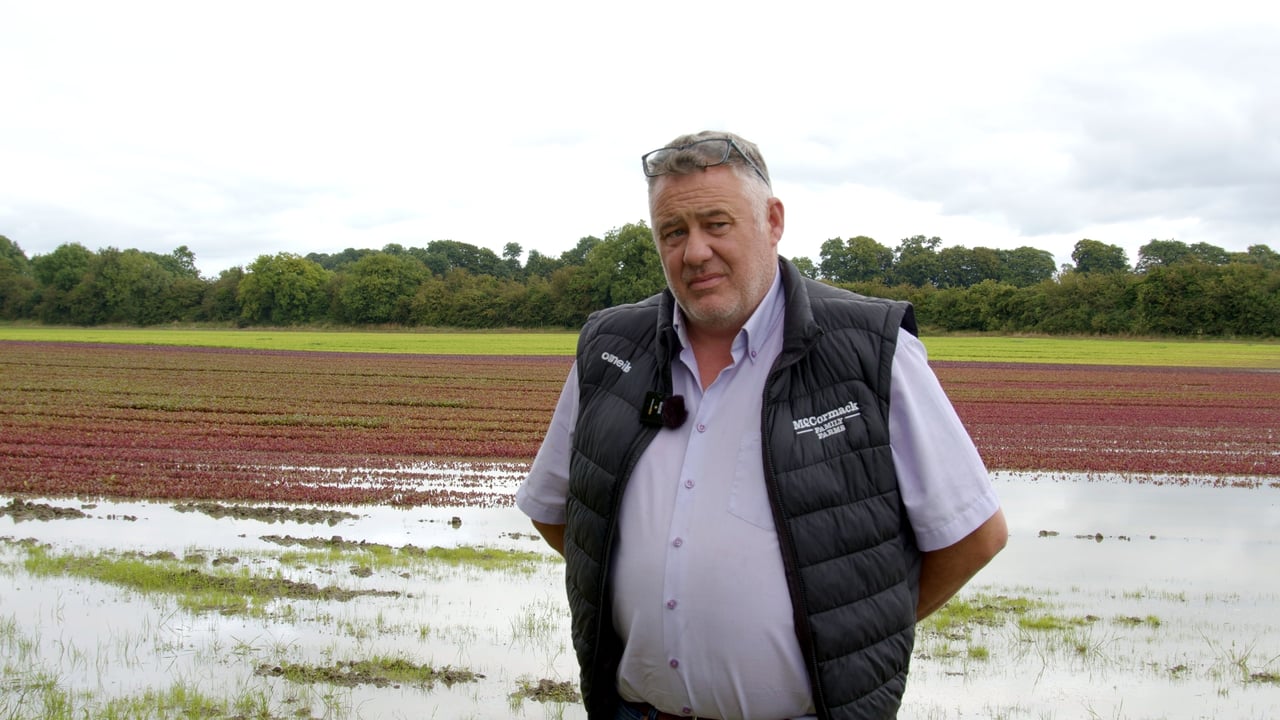 Watch: 'I've never seen a wet July like this before'