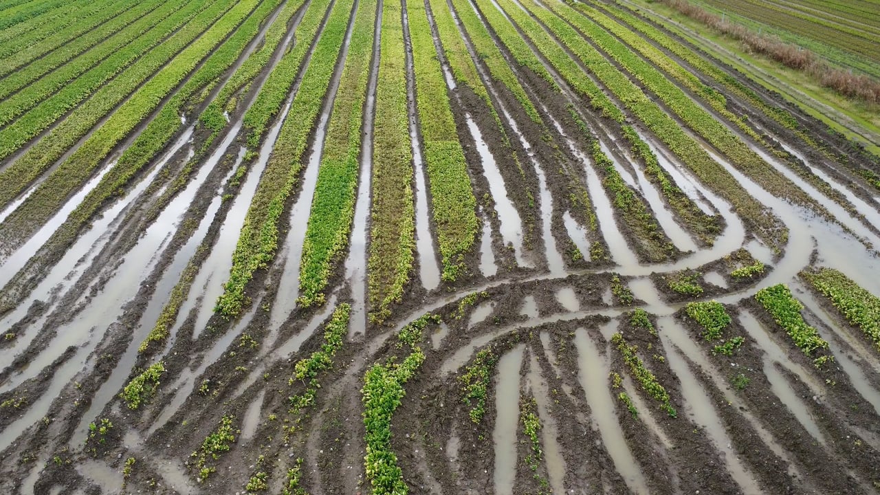 ICSA: Tillage support package will not 'mitigate the losses' on farms