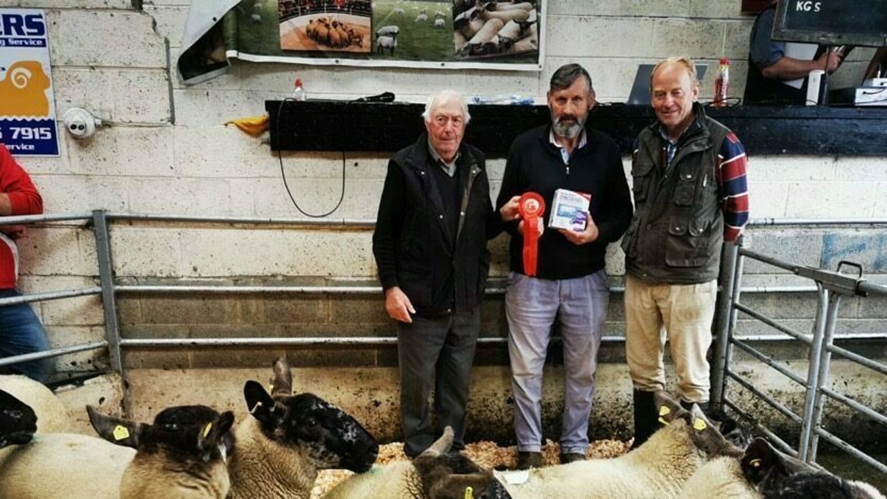 Great clearance at Tullow Sheep Breeders' show and sale