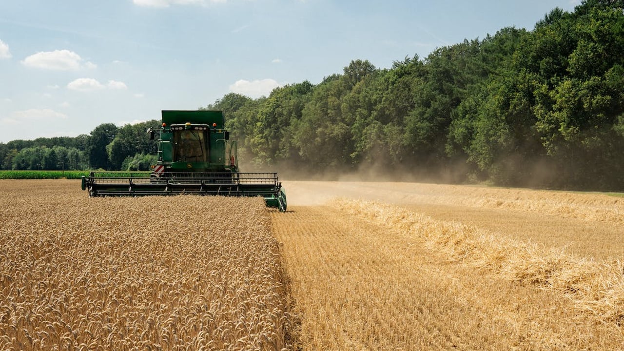 Tillage farmer could face €7,500 loss due to SIM suspension