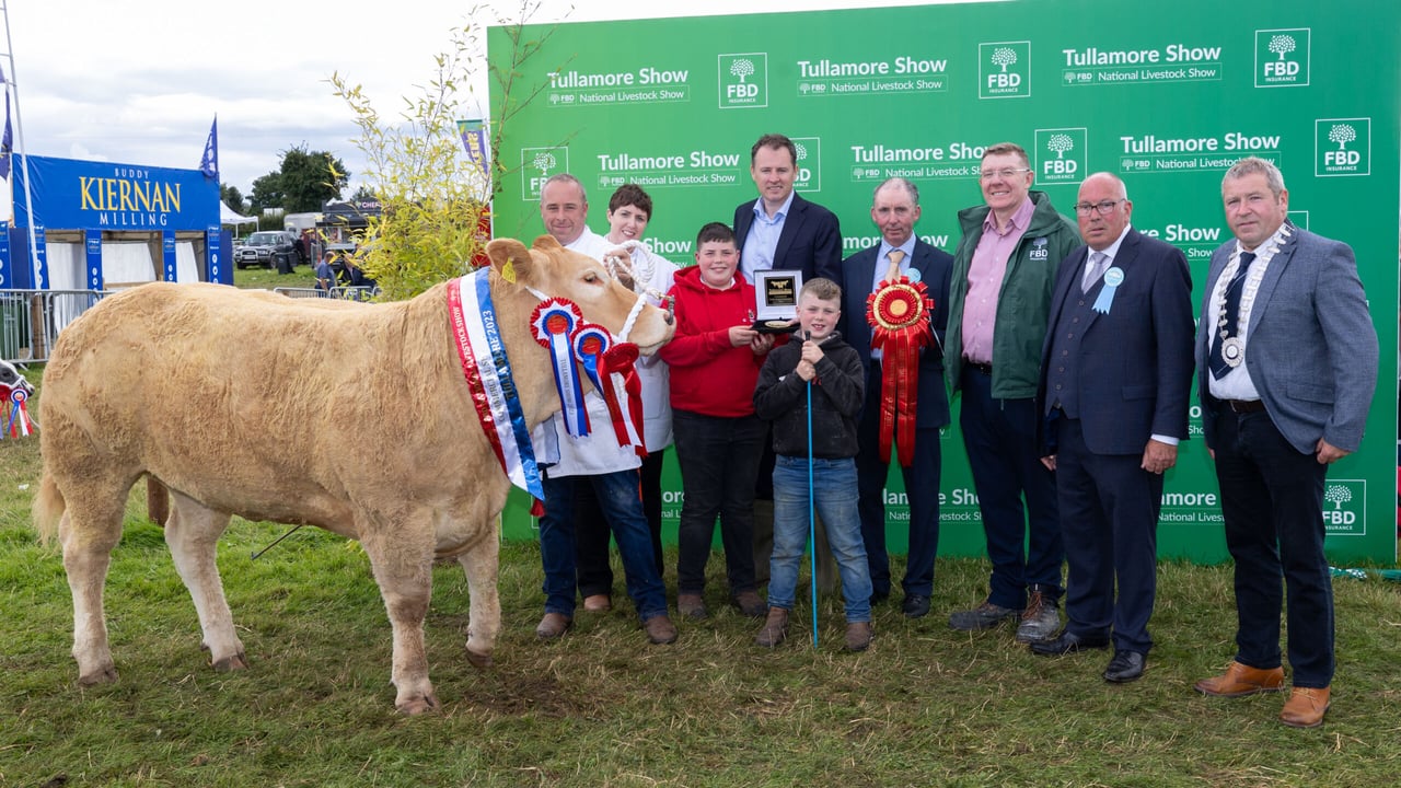 The senior commercial champion owned and shown by Davina, Clive, William and Adam Stevenson from Donegal are presented with the awards by Minister for Agriculture, Food and the Marine Charlie McConalogue TD; Joseph Molloy show chairman; Pat Gilligan FBD; Michael Dolan, head of commercial cattle and Ray Brady ISA president at Tullamore Show 2023.
Picture: Alf Harvey.