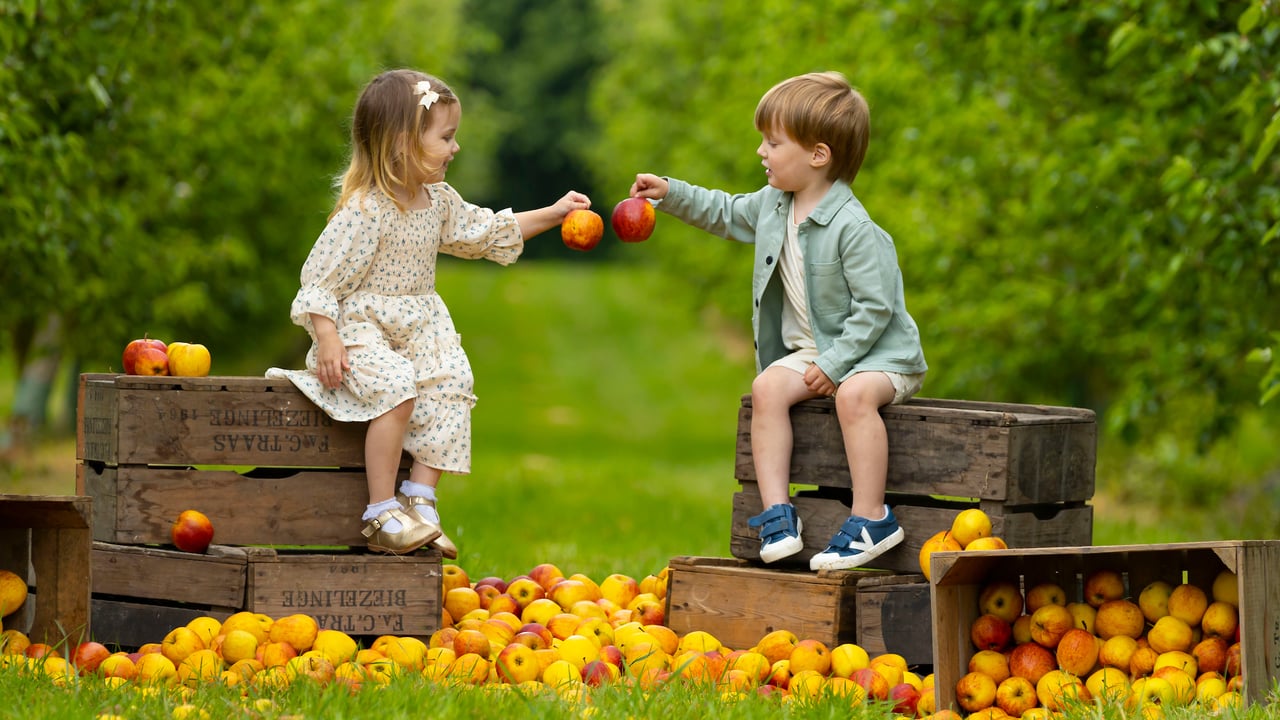Helping to announce details of the 2023 Harvest Festival which will take place in Waterford city from September 8-10 were twins Poppy and James Molloy, age 3. Source: Patrick Browne