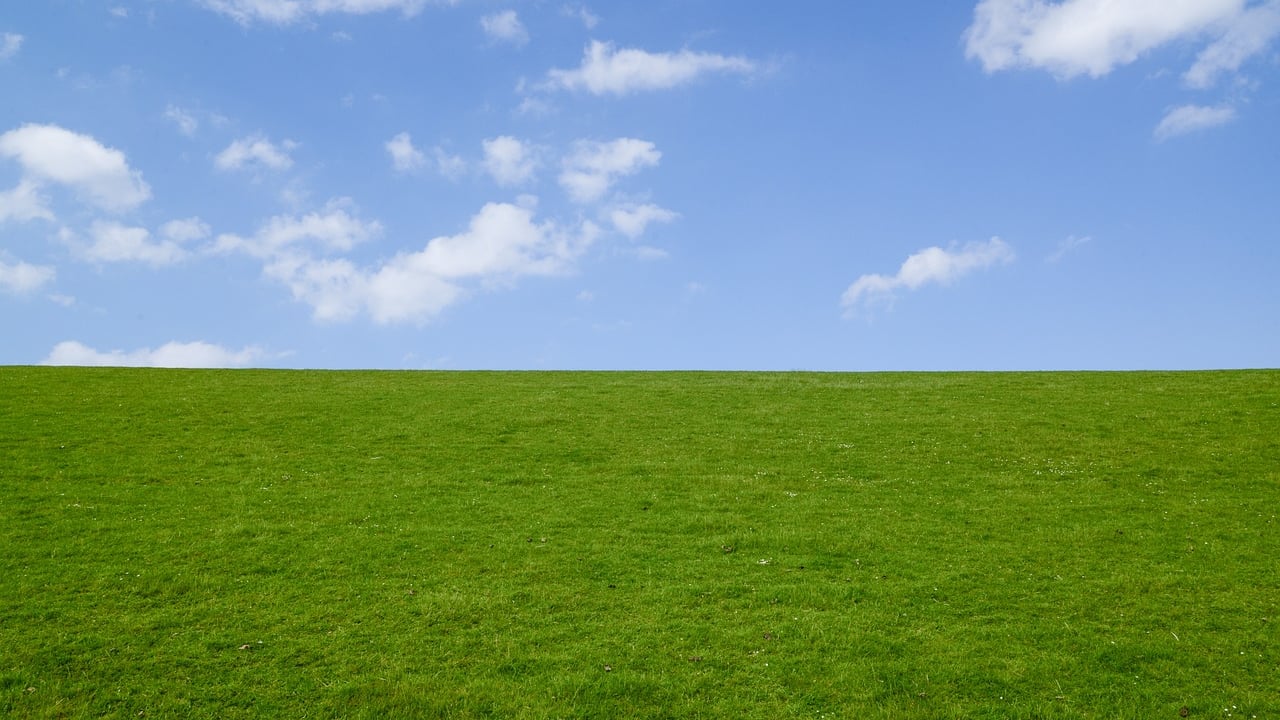 Sherry Fitzgerald: Prime grassland values grew by 9% in 2023