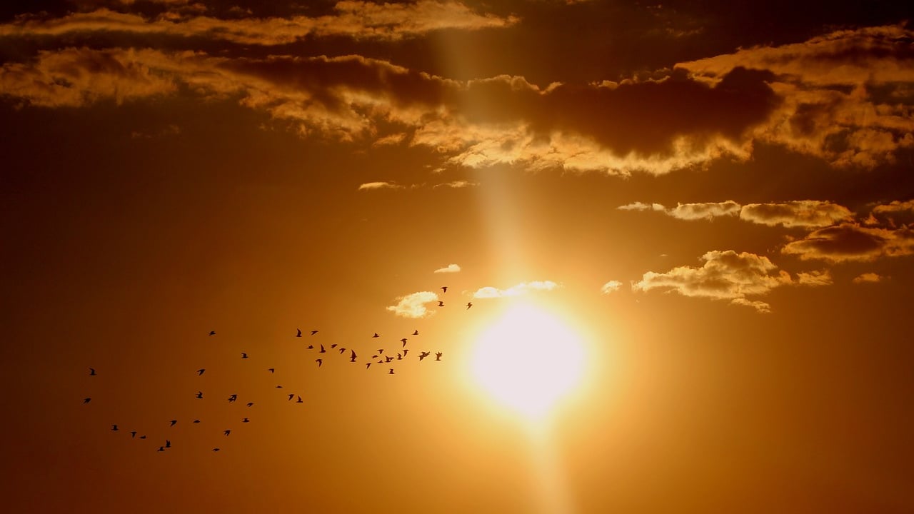 Spring 2025 had highest average temperatures in over 100 years