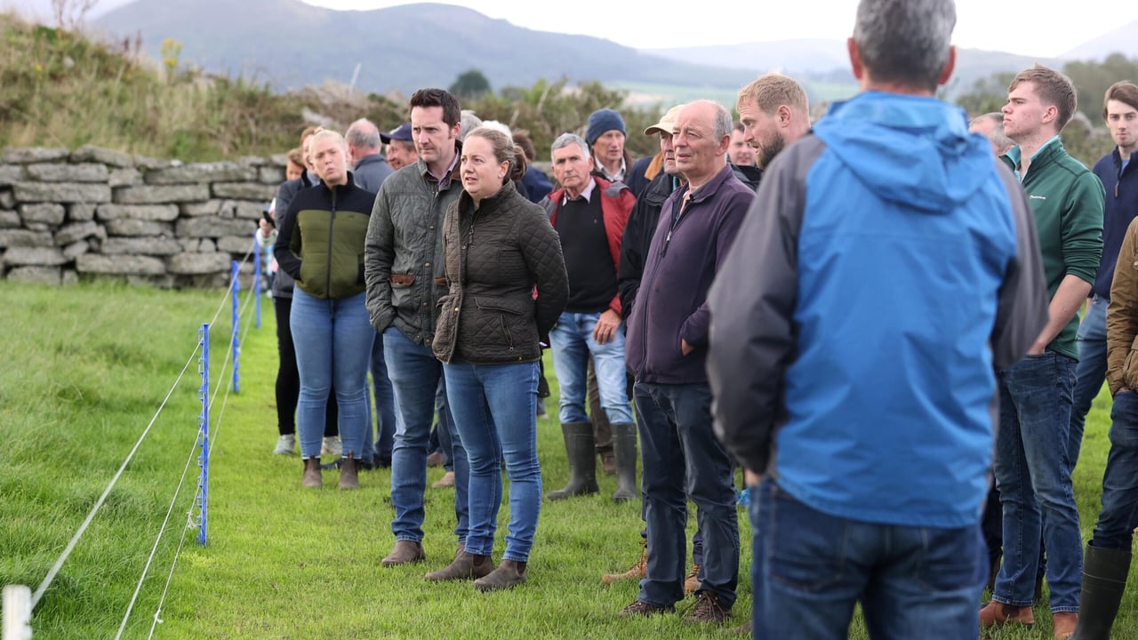 Members of the Ulster Grassland Society on the Kilkeel farm of James and Brenda Henderson