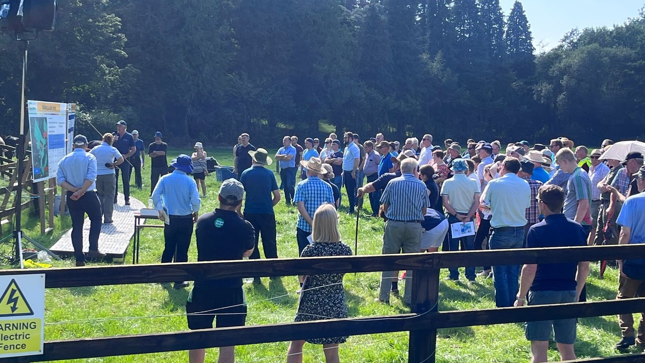 Crowds gathered in the sunshine at the Kildalton Agricultural College suckler and beef information event this afternoon