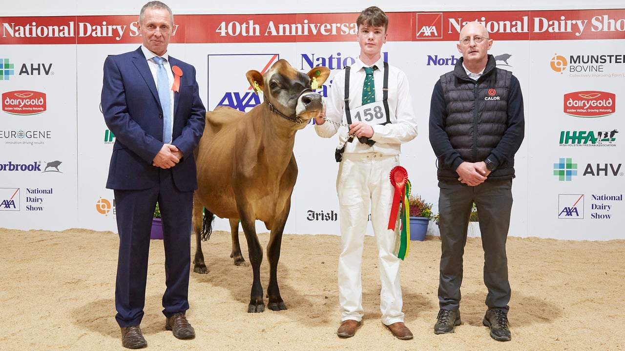 Exhibitors gearing up for National Dairy Show