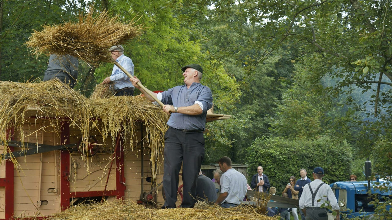 Traditional Harvest Day returns to Bunratty tomorrow