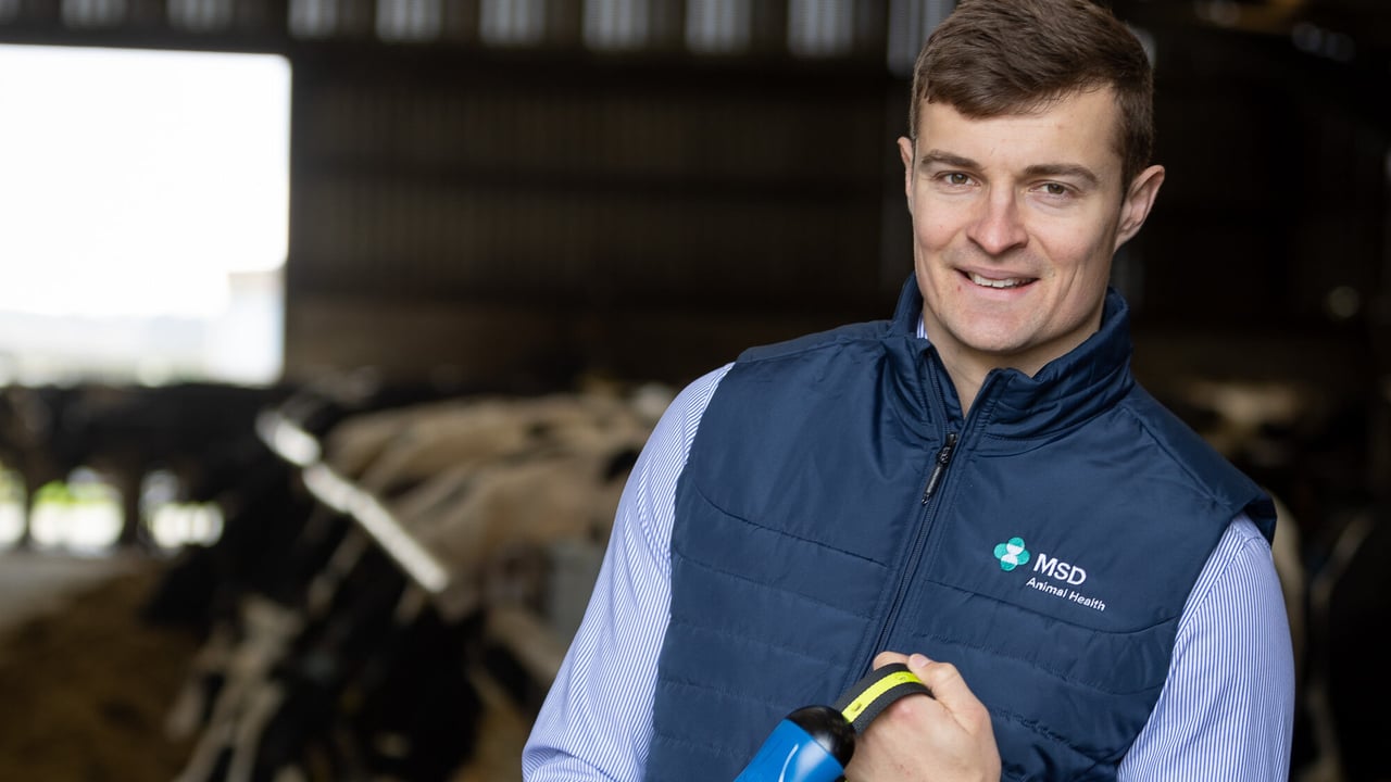 Ruminant business unit director at MSD Animal Health, Jack O'Connor