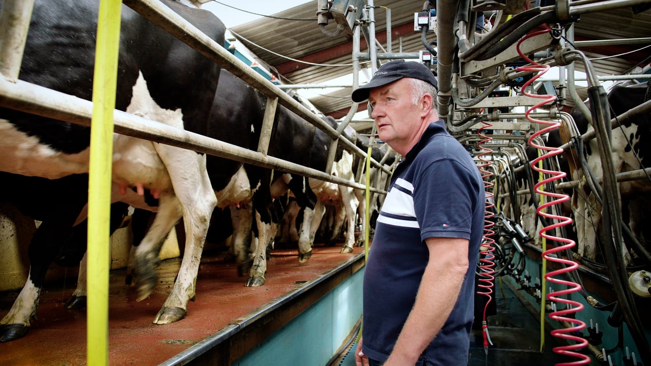 Joe O'Rourke milks 230 cows in Westmeath