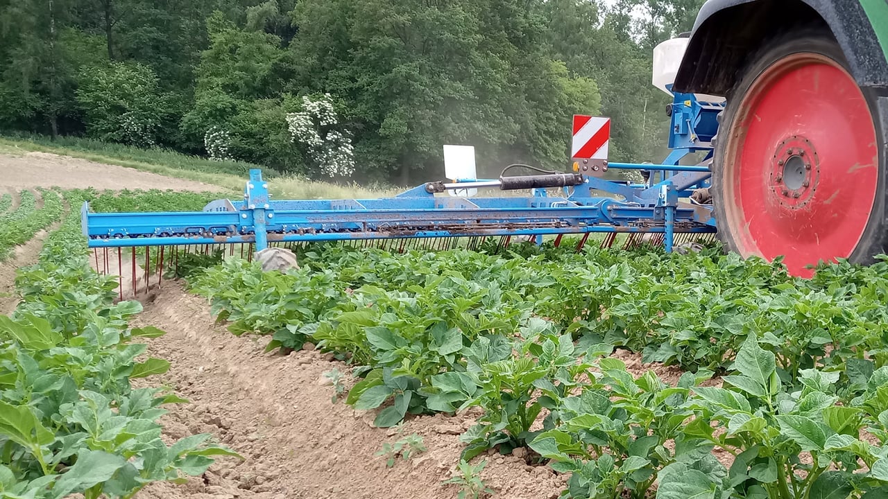 The new Thulit weed harrow from Lemken in action
