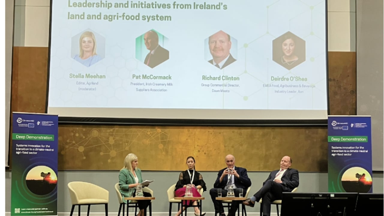 Need to 'accelerate' the rate of sustainable changes - Dawn Meats