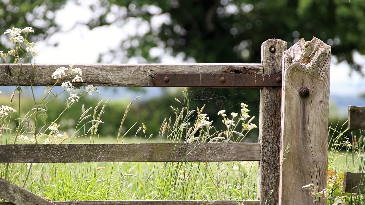 Two men with serious injuries after accident on Limerick farm