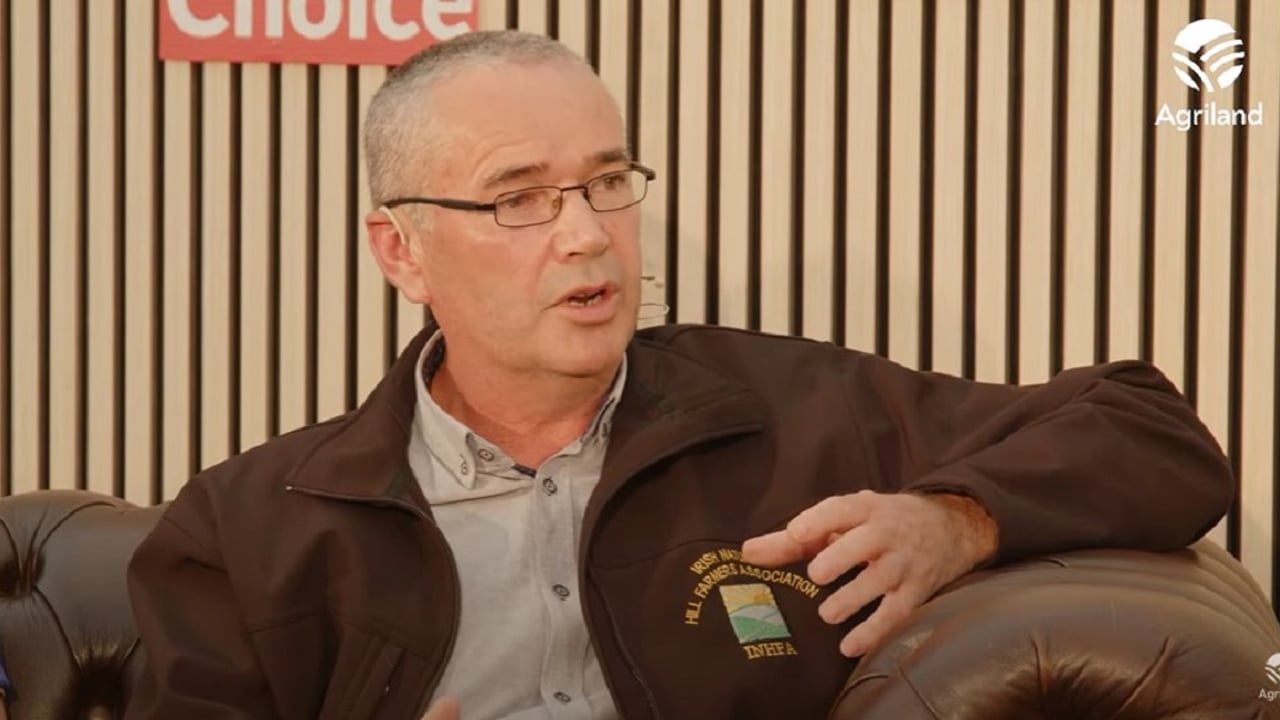 Sheep farmers 'are in trouble' without supports - INHFA