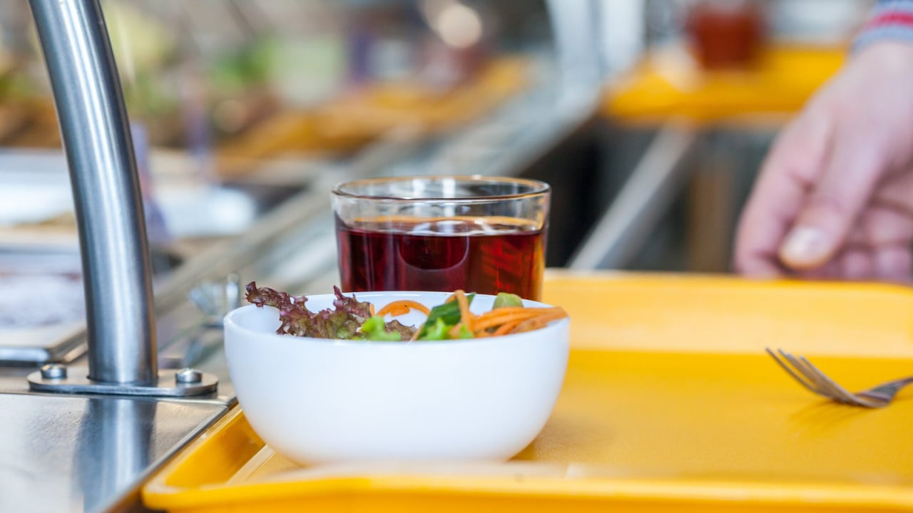 Hundreds of academics call for 100% plant-based meals in colleges