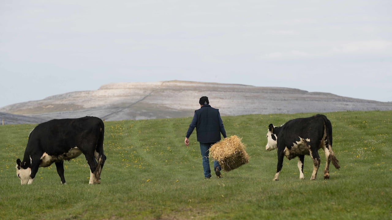 Cathal O'Rourke of Burren Premium Beef. Image source: Eamon Ward.