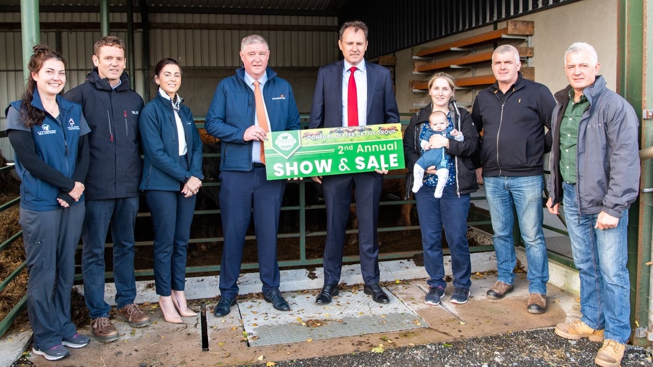 Donegal Dexter show and sale set for November 10