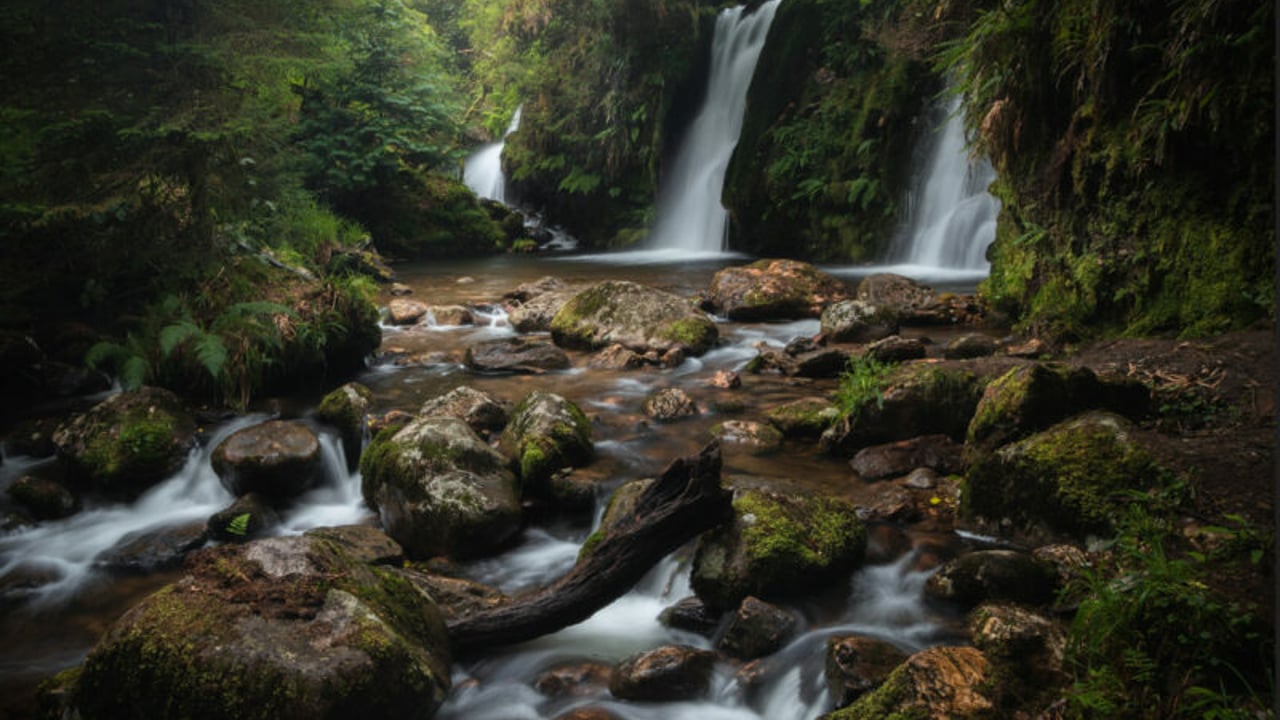 Image: Ciaran Willmore