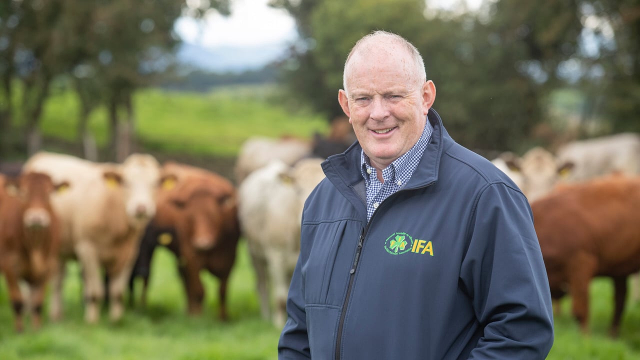 Agriland poll result: 60% say Gorman will be next IFA president
